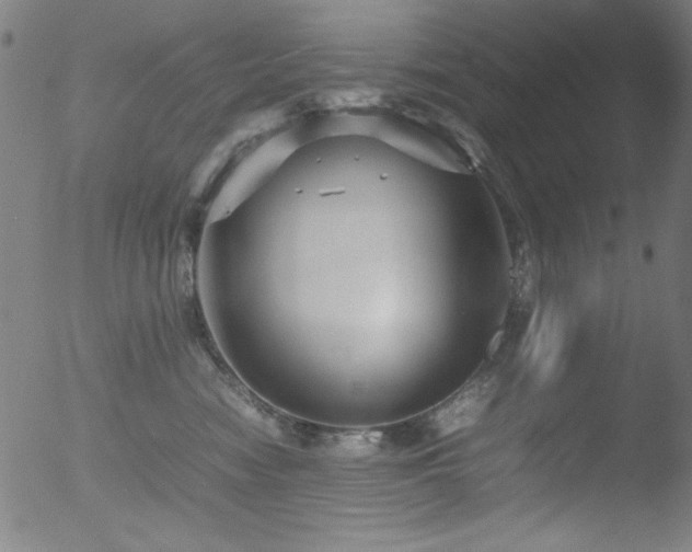 X0000053090474200507111202