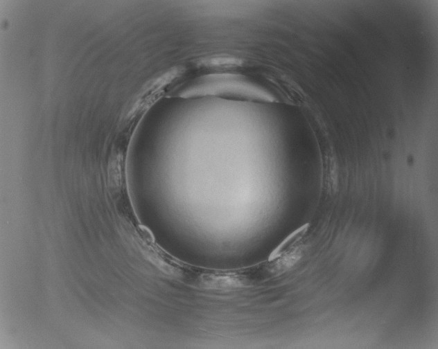 X0000053090475200507111202