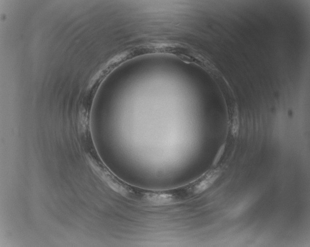 X0000053090476200507111202