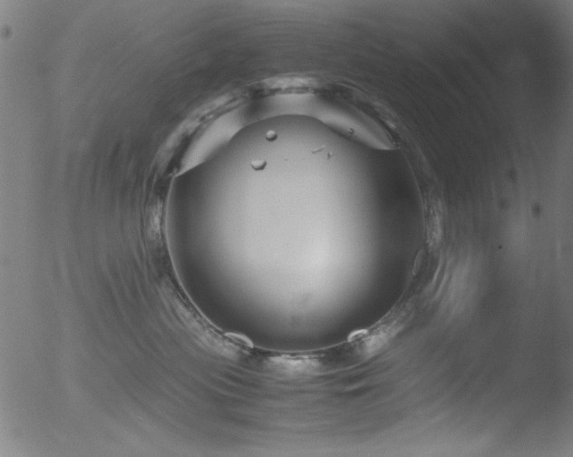 X0000053090477200507111202