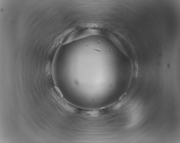 X0000053090478200507111202