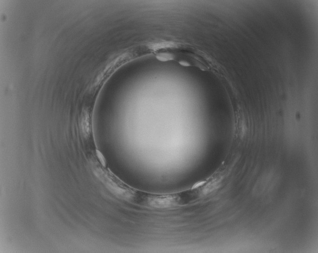 X0000053090479200507111202