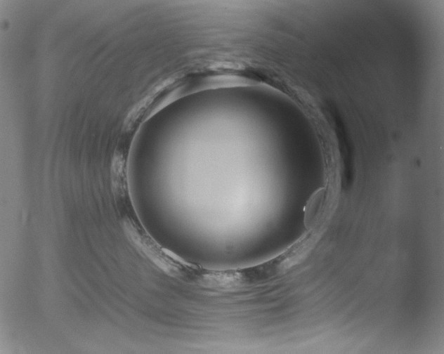 X0000053090480200507111202