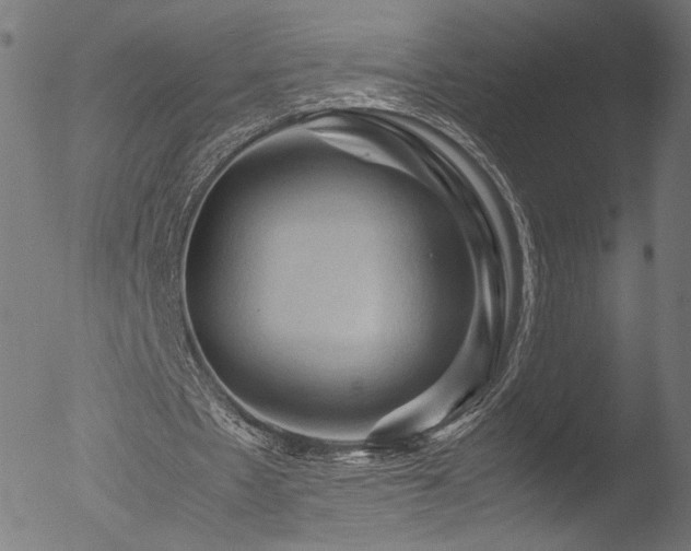 X0000053090481200507111201