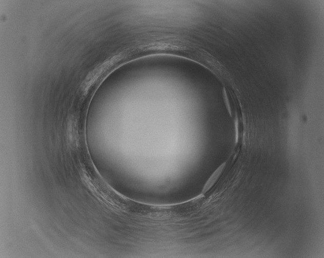 X0000053090482200507111201