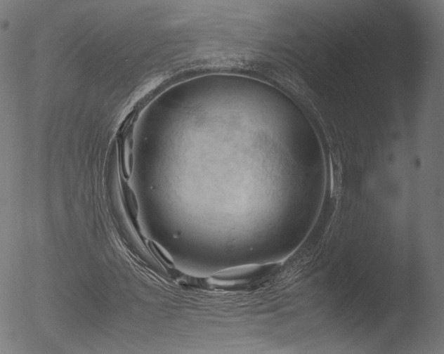 X0000053090483200507111201