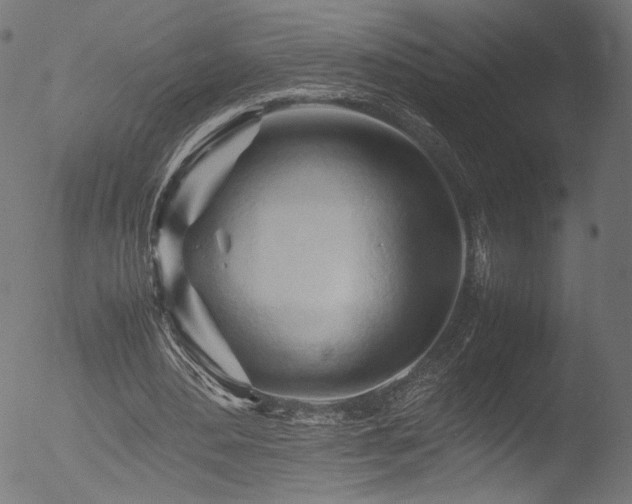 X0000053090484200507111201