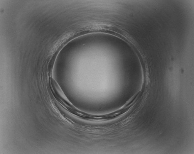 X0000053090485200507111201