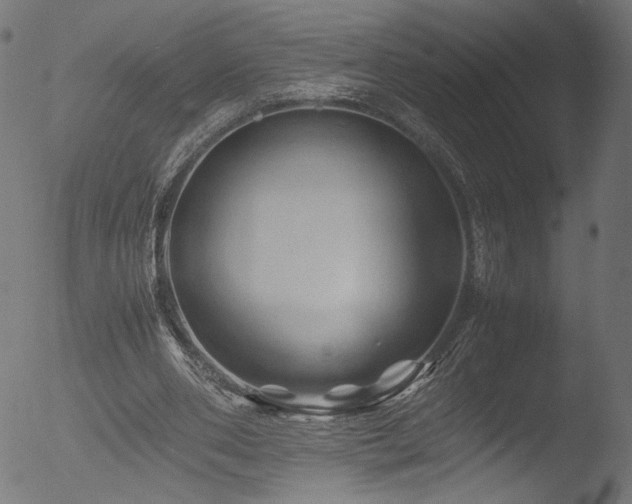 X0000053090486200507111201