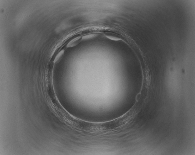 X0000053090487200507111201