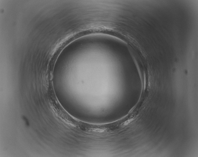 X0000053090488200507111201