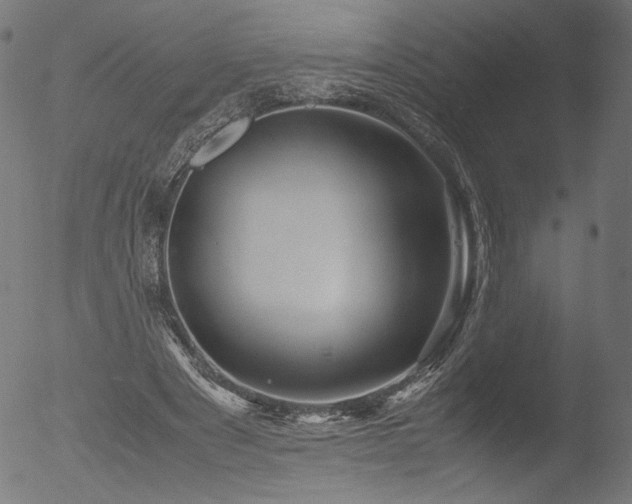 X0000053090489200507111201