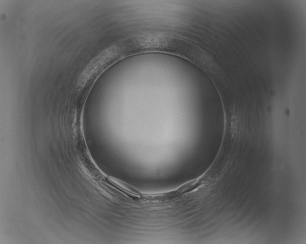 X0000053090490200507111201