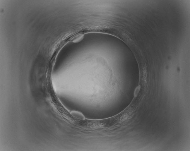 X0000053090491200507111201