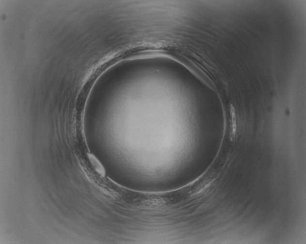 X0000053090492200507111201