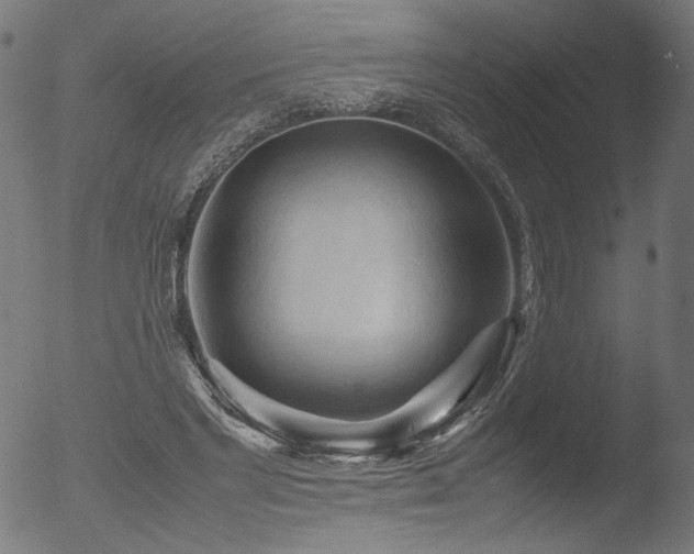 X0000053090493200507111201