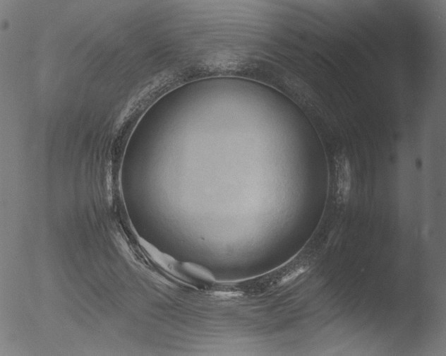 X0000053090494200507111201