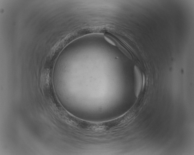 X0000053090495200507111201