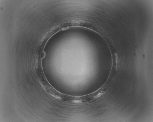 X0000053090496200507111201