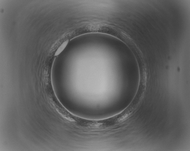 X0000053090497200507111201