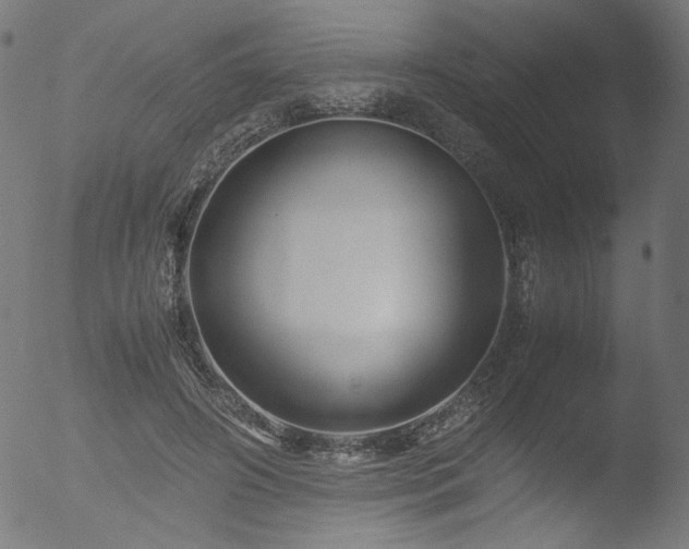 X0000053090498200507111201