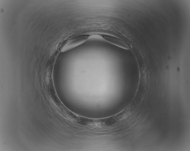 X0000053090499200507111201