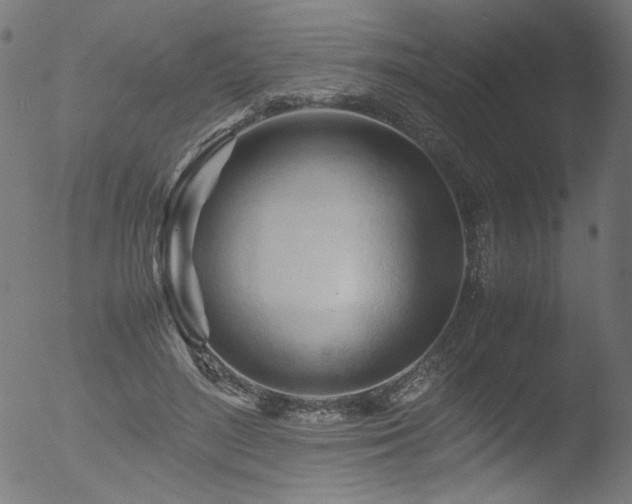 X0000053090500200507111201