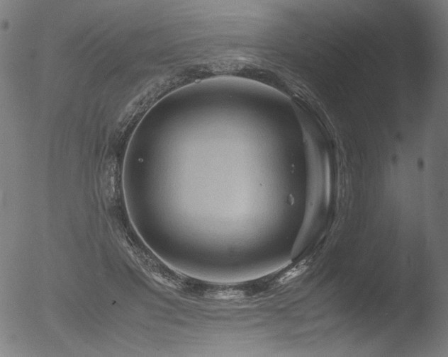 X0000053090501200507111201