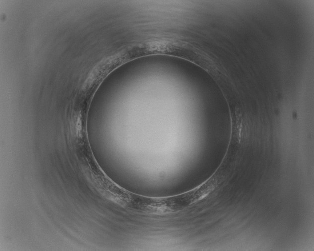 X0000053090502200507111201