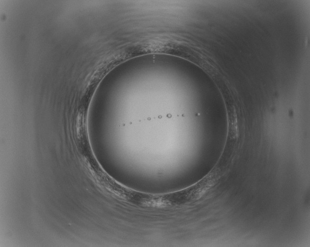 X0000053090503200507111201