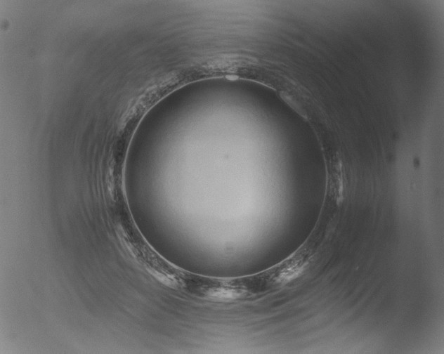 X0000053090504200507111201