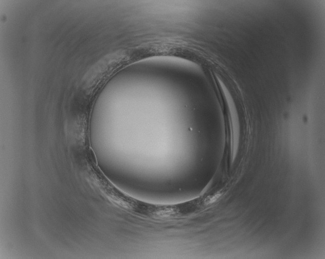 X0000053090505200507111201