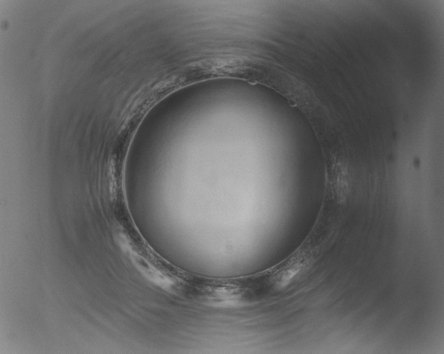 X0000053090506200507111201