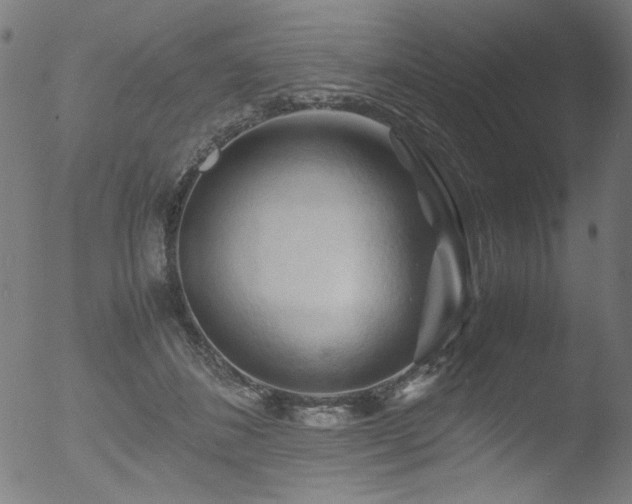 X0000053090508200507111201