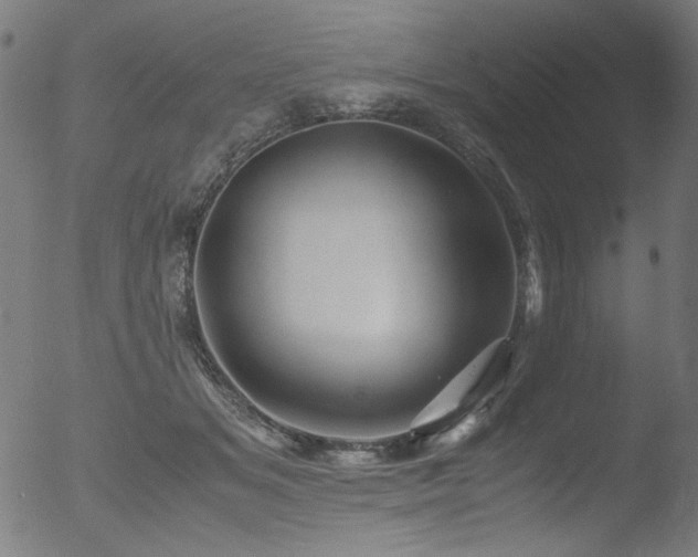 X0000053090509200507111201