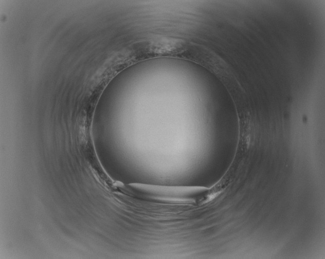 X0000053090510200507111201