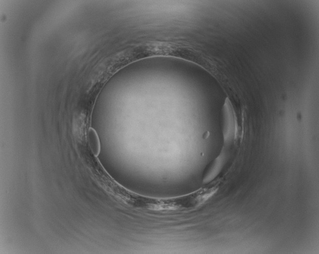 X0000053090511200507111201