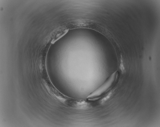 X0000053090512200507111201