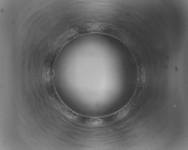 X0000053090514200507111201