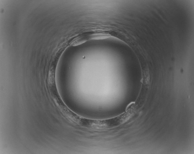 X0000053090515200507111201