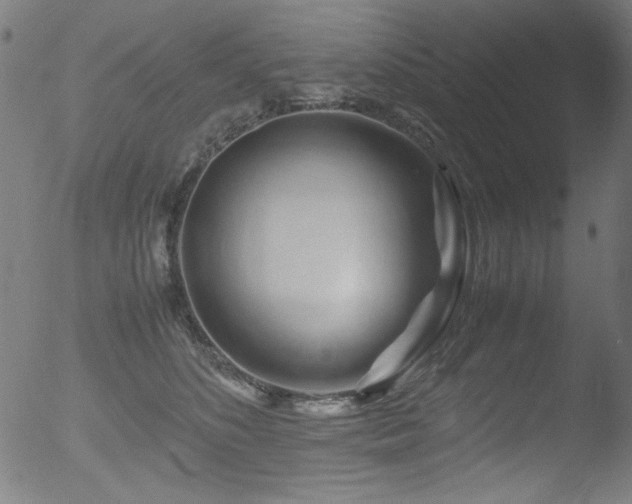 X0000053090516200507111201