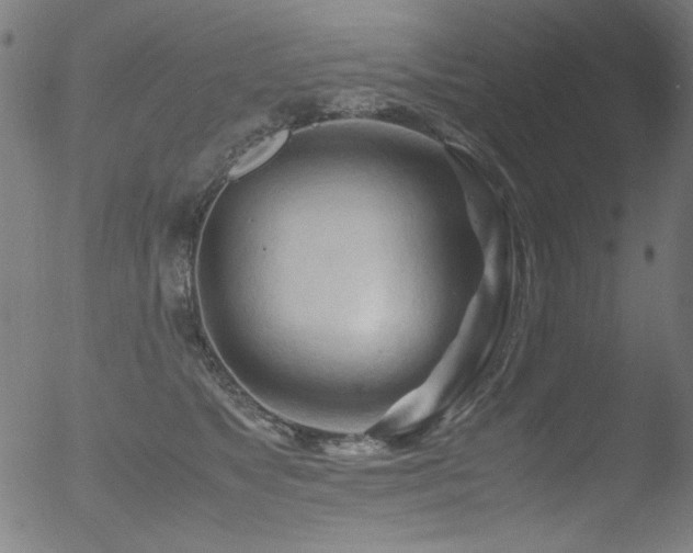 X0000053090517200507111201