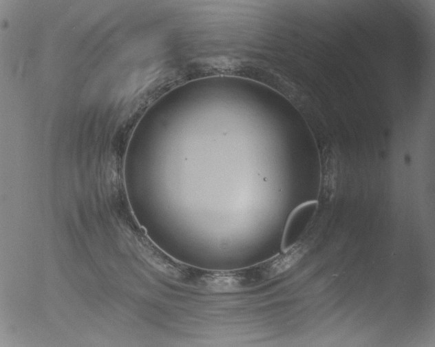 X0000053090518200507111201