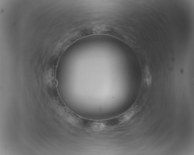 X0000053090519200507111201