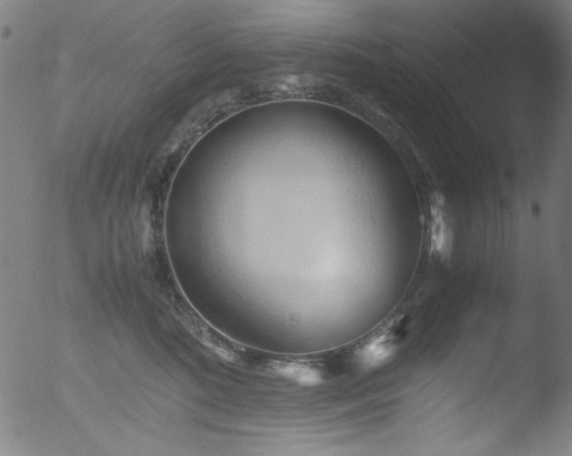 X0000053090520200507111201