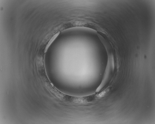 X0000053090521200507111201