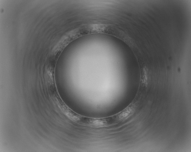 X0000053090522200507111201