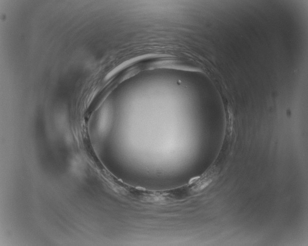 X0000053090523200507111201