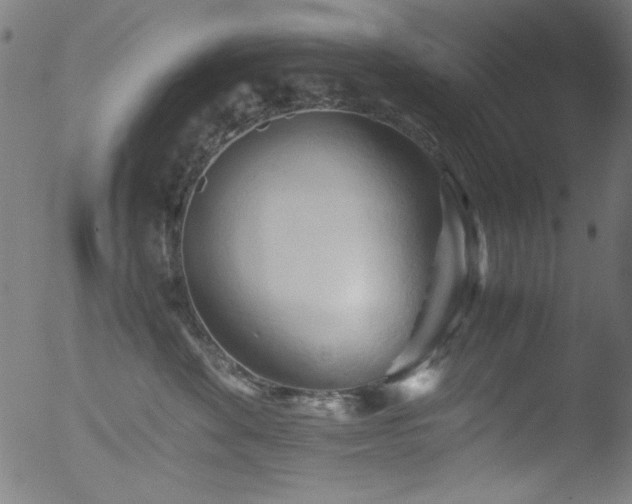 X0000053090524200507111201