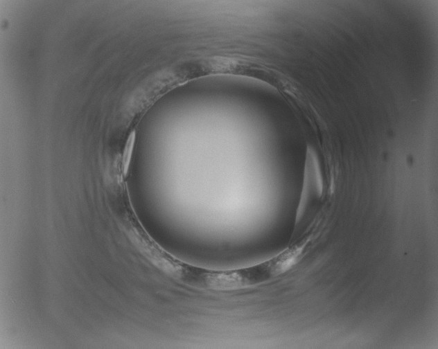 X0000053090525200507111201